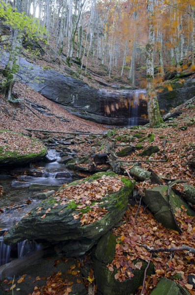 Waterfall in Autumn, Sasso Fratino Integral Natural Reserve, Emilia Romagna district, Italy
