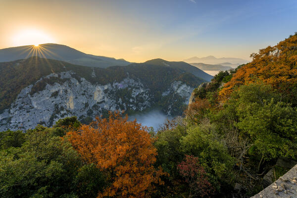 Italy, Marche, Furlo Gorge, River Condigliano in the fog