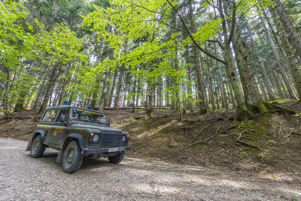 Ranger's cross-country car, Casentinesi Forests NP, Emilia Romagna, Italy