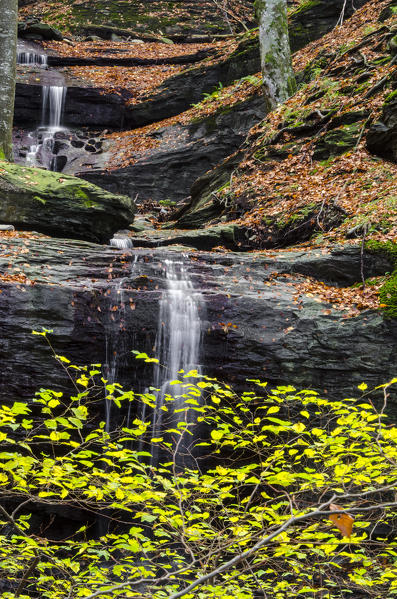 Waterfall in Autumn, Sasso Fratino Integral Natural Reserve, Emilia Romagna district, Italy