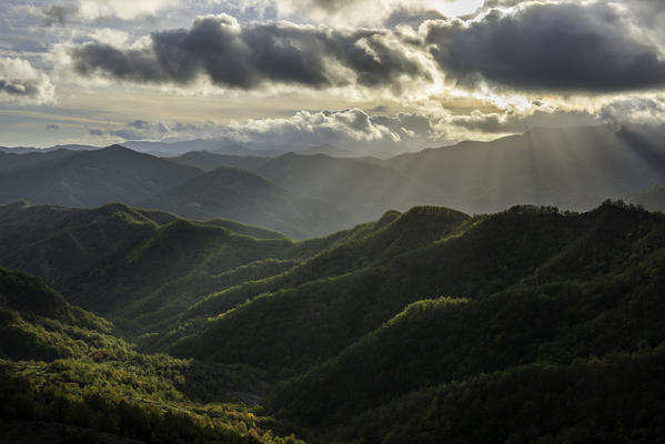 Rays of light on the forests in Apennines after a storm, Foreste Casentinesi NP, Emilia Romagna NP, Italy