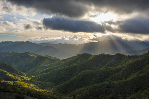 Rays of light on the forests in Apennines after a storm, Foreste Casentinesi NP, Emilia Romagna NP, Italy