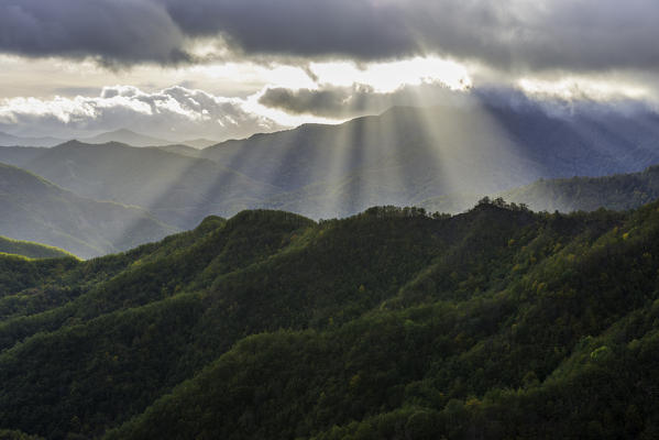 Rays of light on the forests in Apennines after a storm, Foreste Casentinesi NP, Emilia Romagna NP, Italy