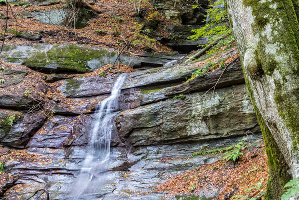 Waterfall in Autumn, Sasso Fratino Integral Natural Reserve, Emilia Romagna district, Italy