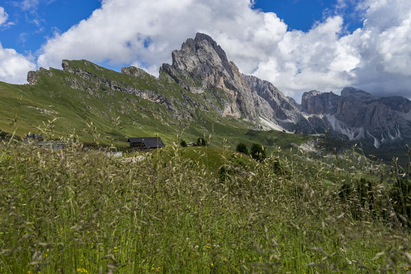 Seceda peak in Summer, Odle mountain range, Dolomites, South Tyrol, Italy
