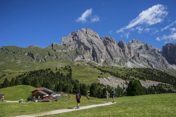 Hikers on Col Raiser, Odle mountain range, Dolomites, Italy