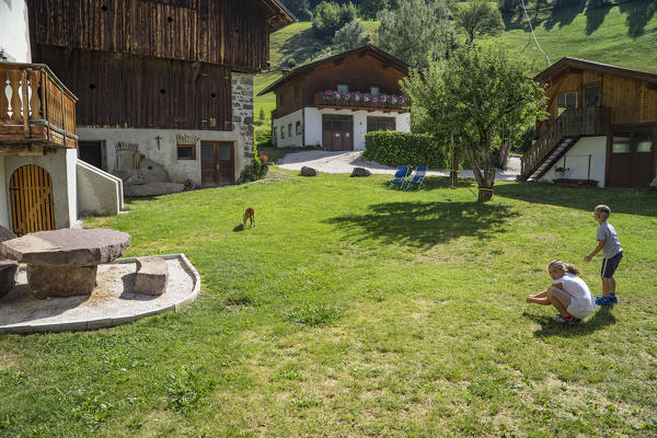 Two children with a fawn in a meadow in a chalet, Gardena valley, Dolomites, Italy