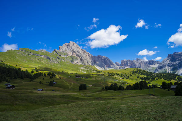 Seceda in a sunny day of Summer, Odle range, Dolomites, Italy