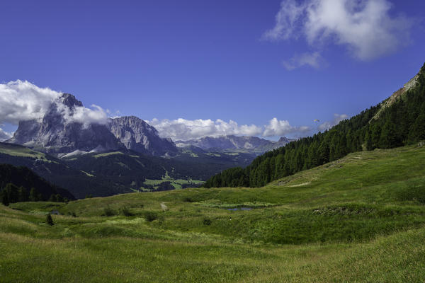 Paraglider and Sassolungo, Santa Cristina, Gardena Valley, Odle, Dolomites, Italy