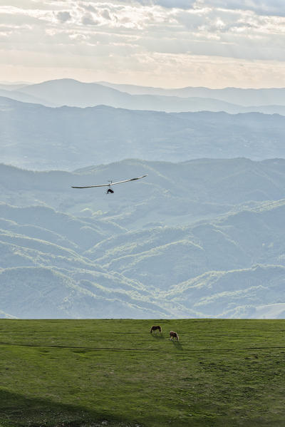 Italy, Umbria, Monte Cucco Park,  Hang glider