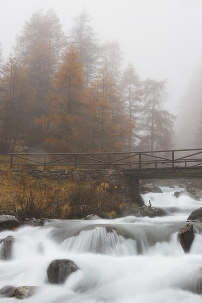 Messi Valley, Lombardy, Italy.