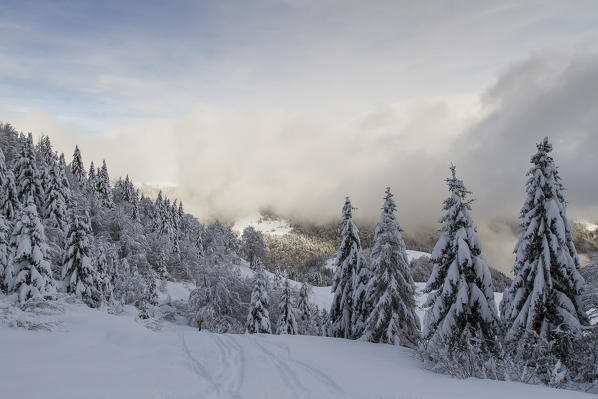 Lombardy, Italy. Guglielmo peak.