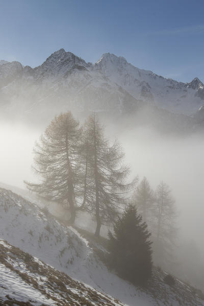 Castellaccio, Lombardy, Italy.