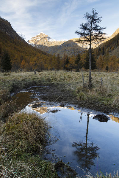 Ponte di Legno, Brescia, Lombardy, Italy. Messi valley