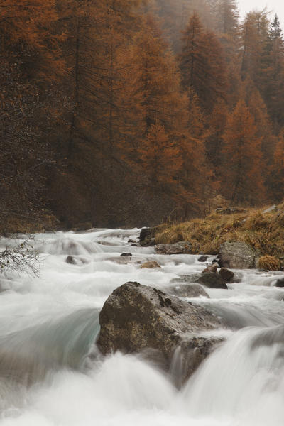 Ponte di Legno, Brescia, Lombardy, Italy. Messi valley