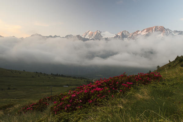 Presanella Peak sunrise, Tonale Pass, Trentino