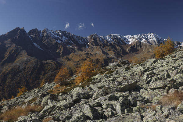 Stelvio National Park, Lombardy, Italy. Messi Valley