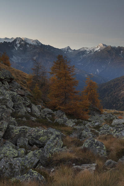 Stelvio National Park, Lombardy, Italy. Messi Valley