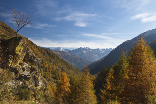 Stelvio National Park, Lombardy, Italy. Messi Valley