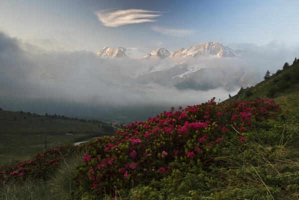 Presanella Peak sunrise, Tonale Pass