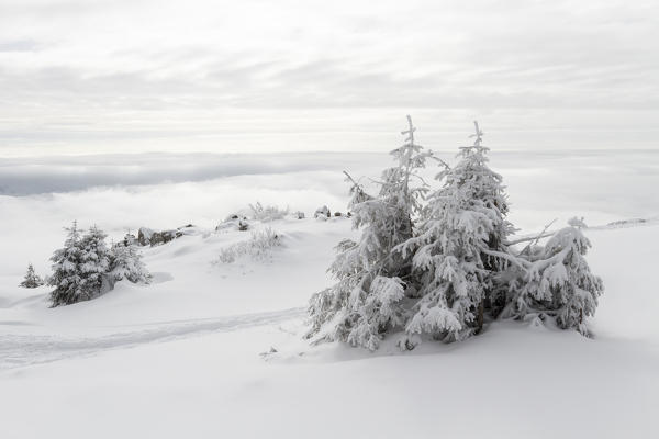 Lombardy, Italy. Guglielmo peak.