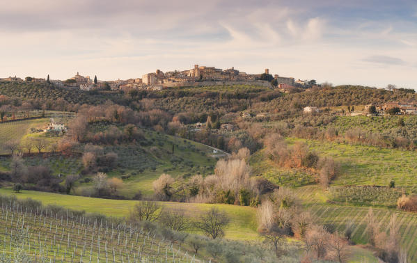 Europe, Italy, Umbria, Perugia district.
Montefalco 