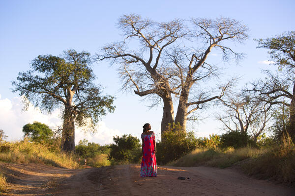 Africa, Malawi, southern Africa, Balaka district.
