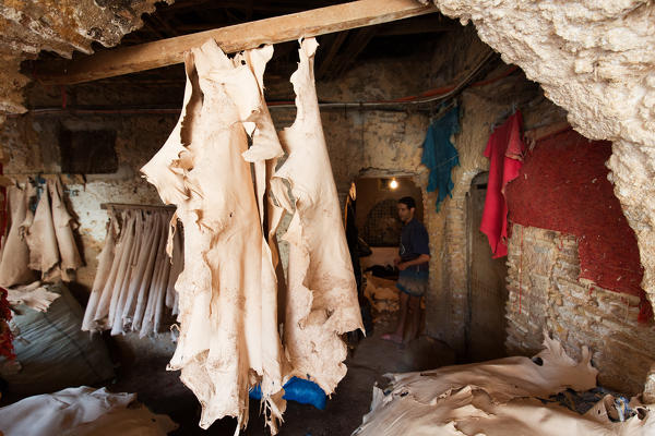 North Africa,Morocco,Fes district,Medina of Fes.Leather processing