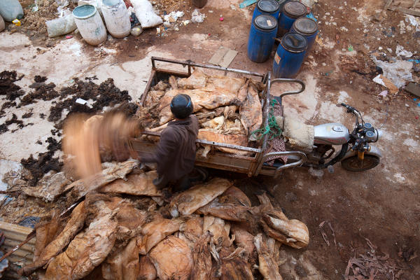 North Africa,Morocco,Fes district,Medina of Fes.Leather processing