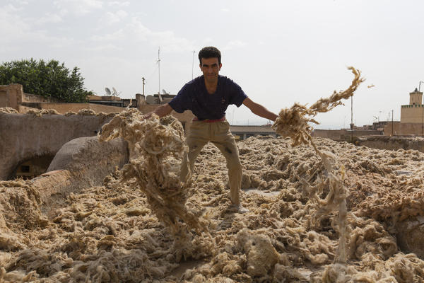 North Africa,Morocco,Fes district,Medina of Fes.Wool processing