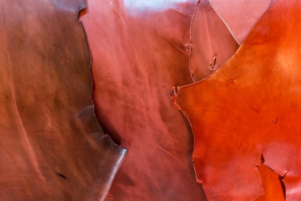 North Africa,Morocco,Fes district,Fez Tannery,Chouara Tannery. Leather processing