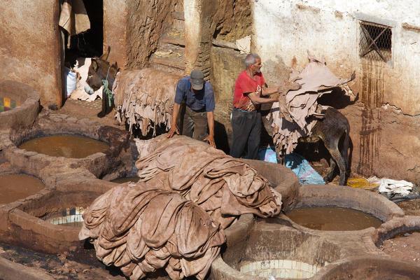 North Africa,Morocco,Fes district,Fez Tannery,Chouara Tannery. Leather processing