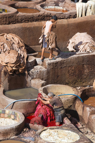 North Africa,Morocco,Fes district,Fez Tannery,Chouara Tannery. Leather processing
