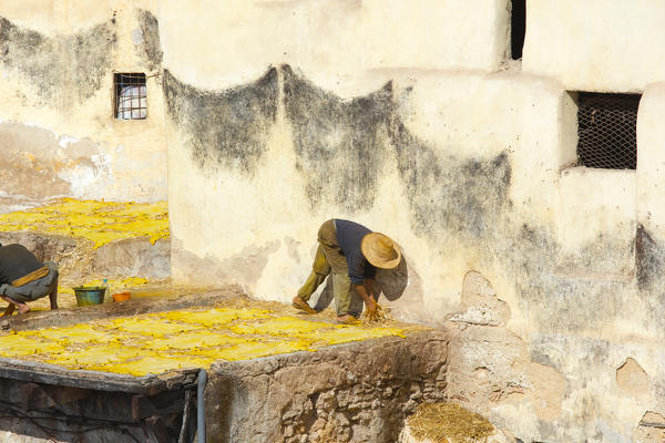 North Africa,Morocco,Fes district,Fez Tannery,Chouara Tannery. Leather processing