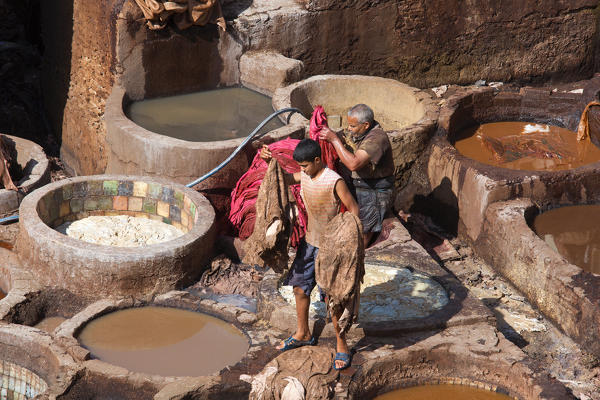 North Africa,Morocco,Fes district,Fez Tannery,Chouara Tannery. Leather processing