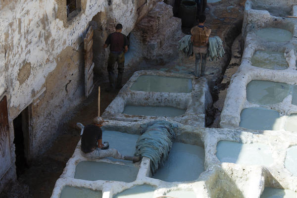 North Africa,Morocco,Fes district,Fez Tannery,Chouara Tannery. Leather processing