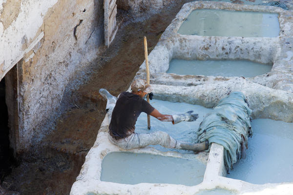 North Africa,Morocco,Fes district,Fez Tannery,Chouara Tannery. Leather processing