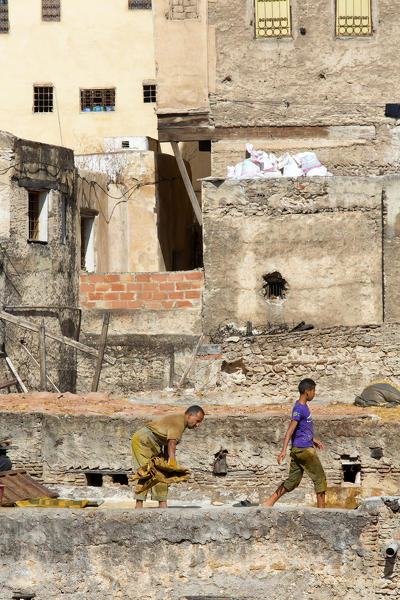 North Africa,Morocco,Fes district,Fez Tannery,Chouara Tannery. Leather processing