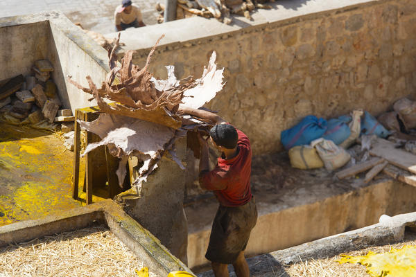 North Africa,Morocco,Fes district,Fez Tannery,Chouara Tannery. Leather processing