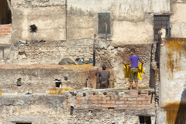 North Africa,Morocco,Fes district,Fez Tannery,Chouara Tannery. Leather processing