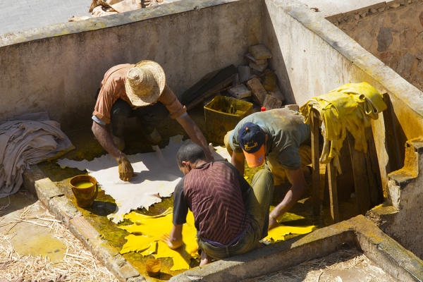 North Africa,Morocco,Fes district,Fez Tannery,Chouara Tannery. Leather processing