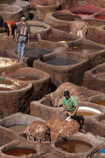 North Africa,Morocco,Fes district,Fez Tannery,Chouara Tannery. Leather processing