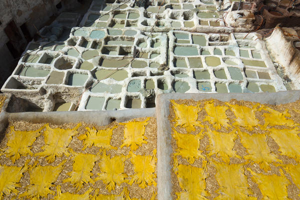 North Africa,Morocco,Fes district,Fez Tannery,Chouara Tannery. Leather processing