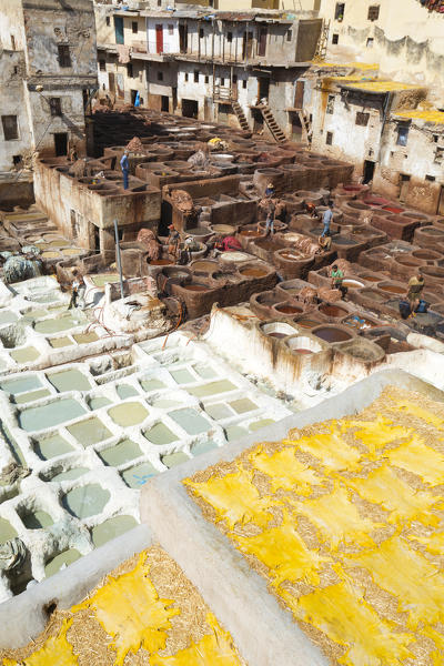North Africa,Morocco,Fes district,Fez Tannery,Chouara Tannery. Leather processing
