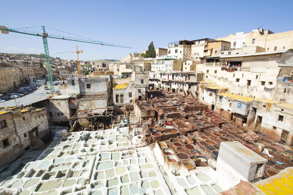 North Africa,Morocco,Fes district,Fez Tannery,Chouara Tannery. Leather processing