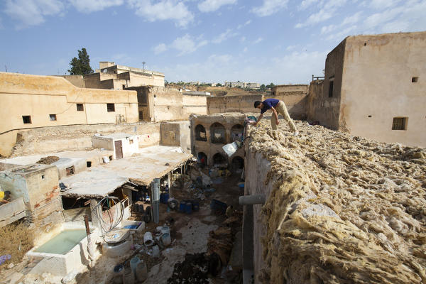 North Africa,Morocco,Fes district,Fez Tannery,Chouara Tannery. Leather processing