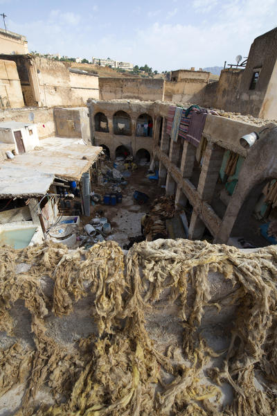North Africa,Morocco,Fes district,Fez Tannery,Chouara Tannery. Leather processing