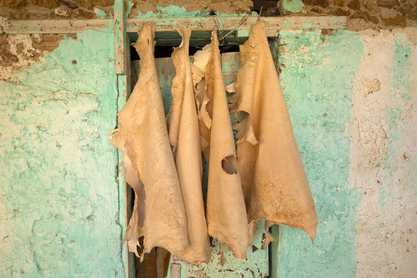 North Africa,Morocco,Fes district,Fez Tannery,Chouara Tannery. Leather processing