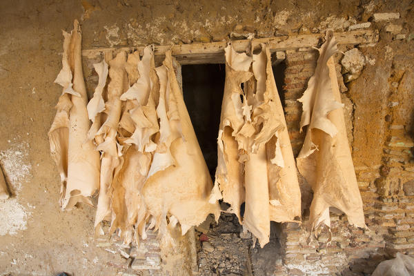 North Africa,Morocco,Fes district,Fez Tannery,Chouara Tannery. Leather processing