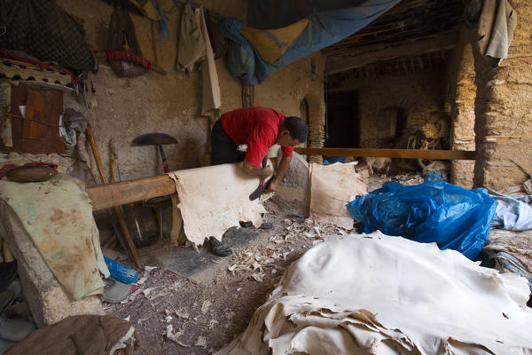 North Africa,Morocco,Fes district,Fez Tannery,Chouara Tannery. Leather processing